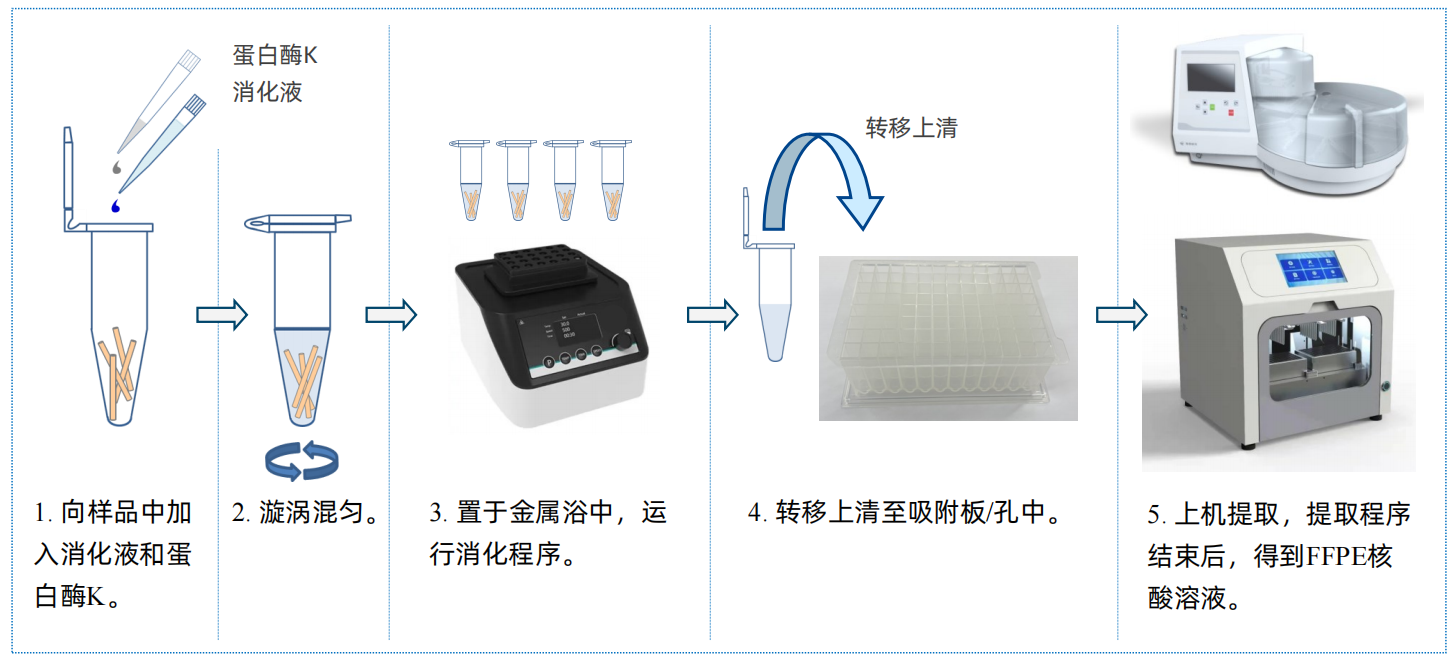 石蜡1.png